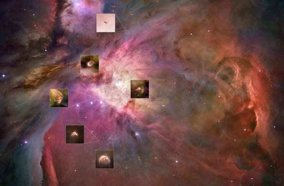 Proplyds in the Orion Nebula (Credit: Space Telescope Science Institute)